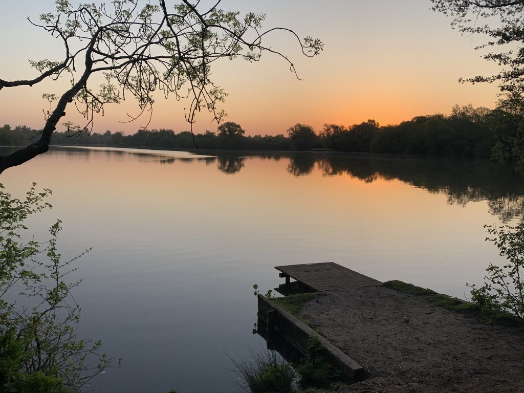 Dawn chorus walk at Dinton Pastures
