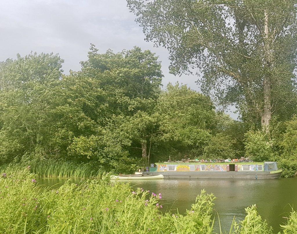 One of Sean's many photos